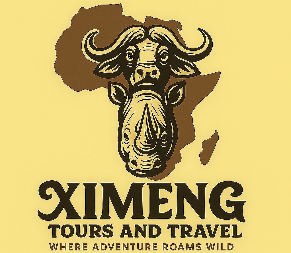 Ximeng Tours & Travel | 